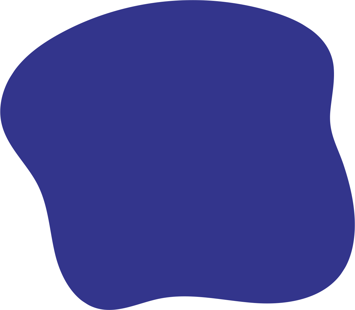Best Software company in San Diego