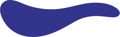 Best Software company in San Diego